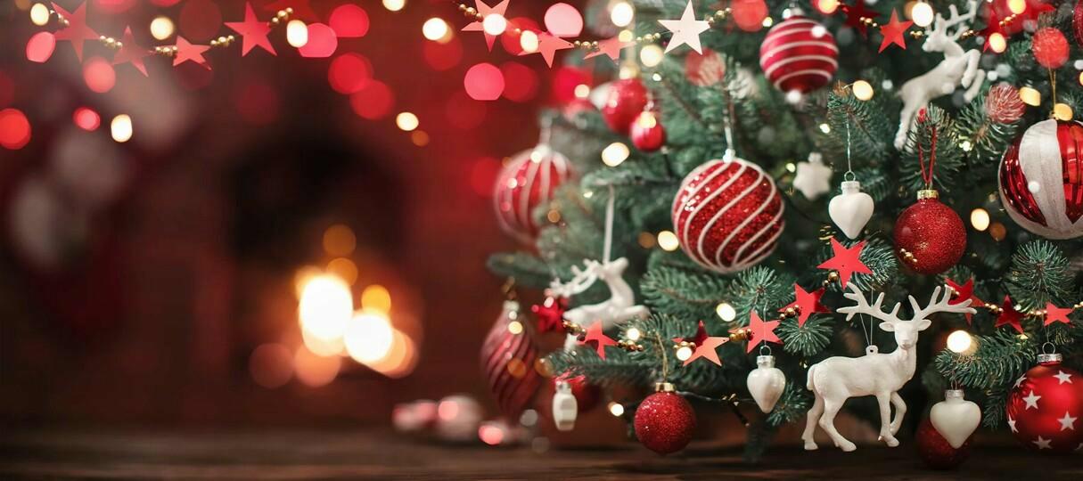 Christmas Gift Guide